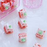 BSUN ANIYA Linear Switches R2 - DIYKEY