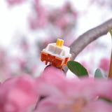 HMX Sunset Gleam (Duck Duck) Linear Switches - DIYKEY