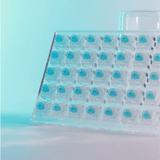 Kailh Box Jellyfish PRO Full Transparent RGB Mengling Linear Switches - DIYKEY