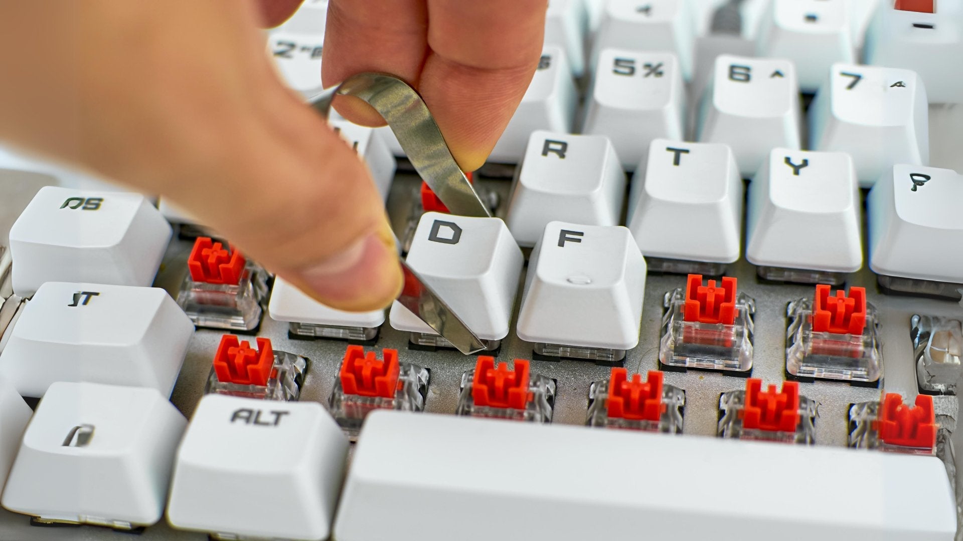 How to Install Switches on Hot-Swap Keyboards: A Comprehensive Guide