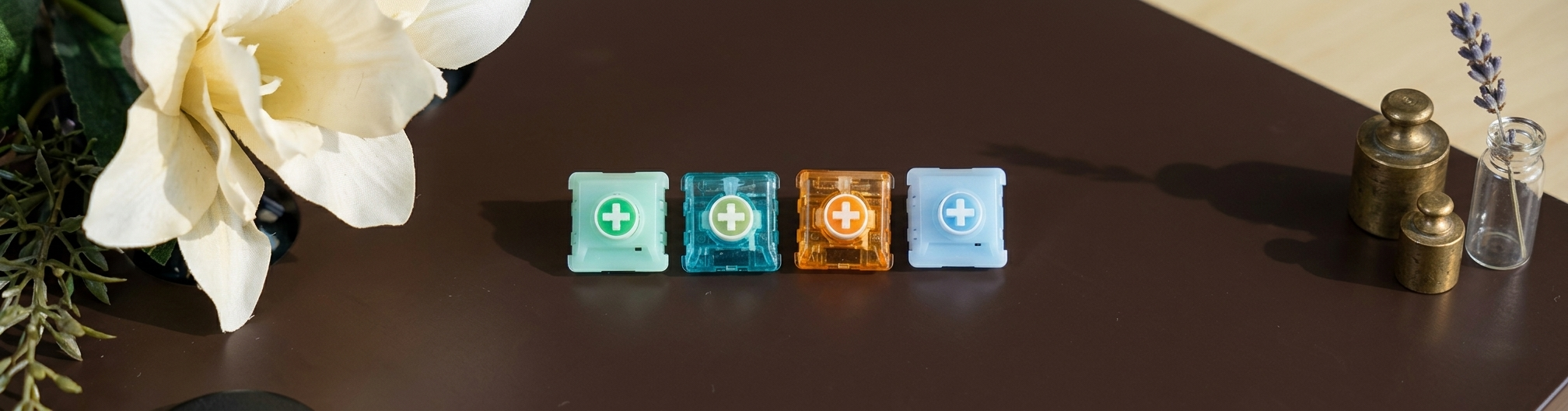 low profile switches