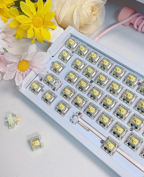 Kailh Longhua Lime HE Switch