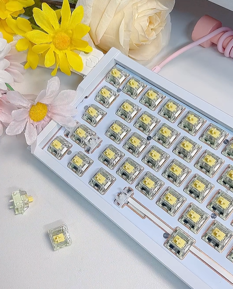 Kailh Longhua Lime HE Switch