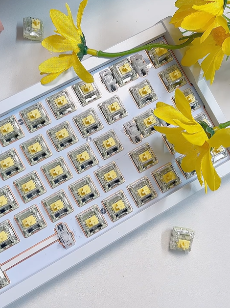 Kailh Longhua Lime HE Switch