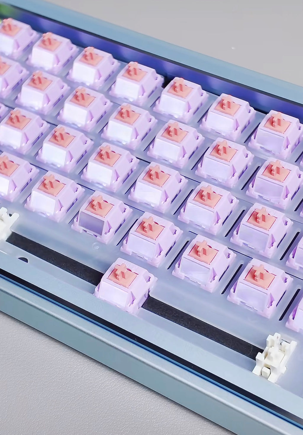 Kailh Kaihua & Tansen MX Lilac Switch RP Mechanical Keyboard Switch