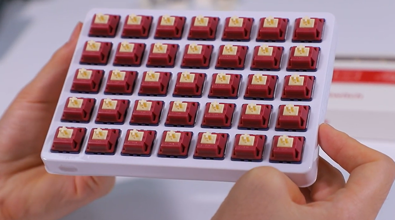 GATERON Quinn thocky Tactile Switch
