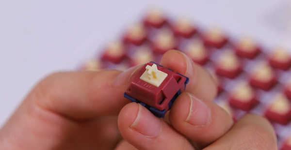 GATERON Quinn thocky Tactile Switch
