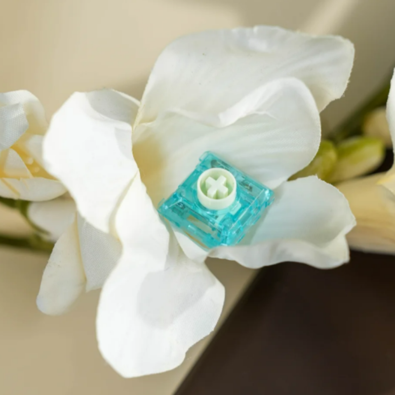 Kailh Summer Mini Low-Profile Clicky Switches | Amazing Clicky Sound!