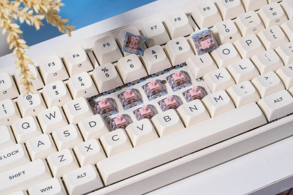 GATERON Melodic Clicky Switch | Sharp & Satisfying Clicks