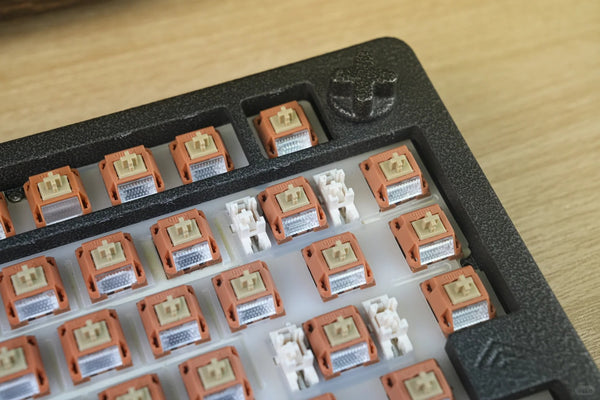 Kailh Folklor Series Wow Switch