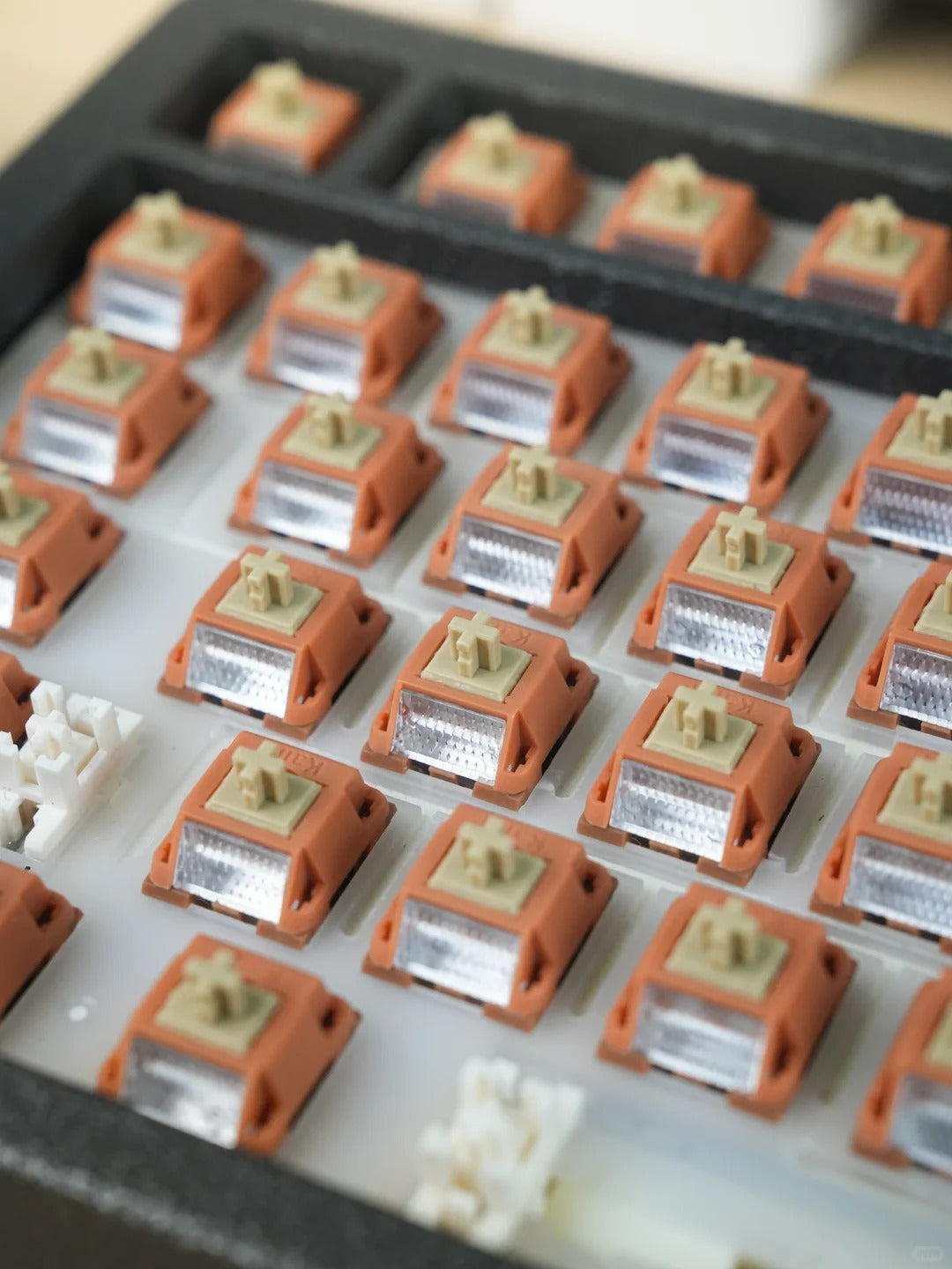 Kailh Folklor Series Wow Switch