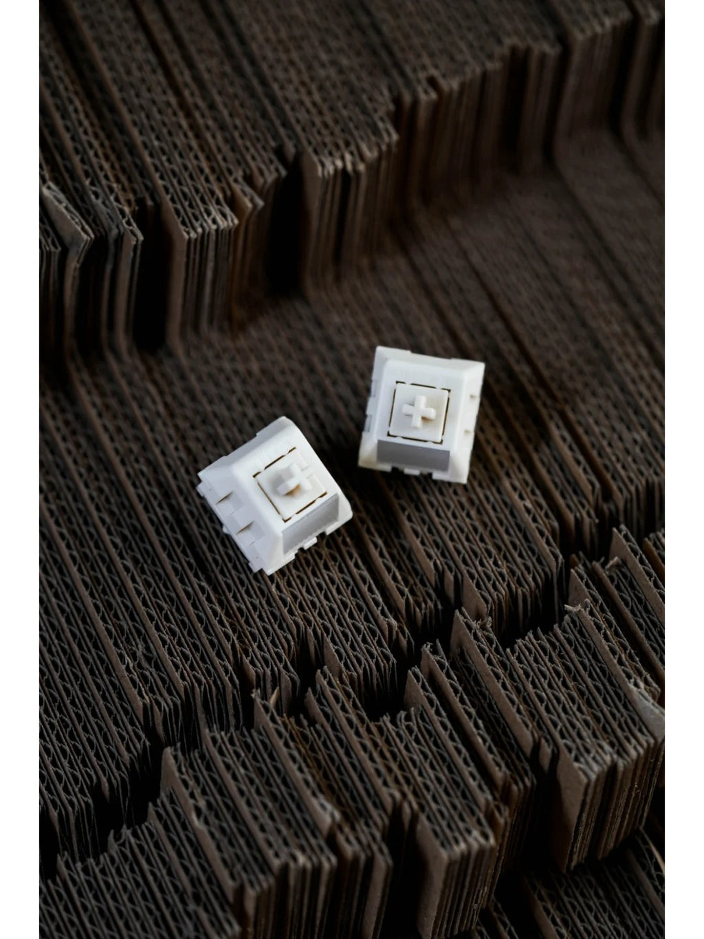 Kailh CROSS STEM BOX ルナスイッチ 傾斜面ライトパイプ HI-FIスイッチ