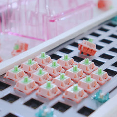 BSUN ANIYA Linear Switches R2 - DIYKEY