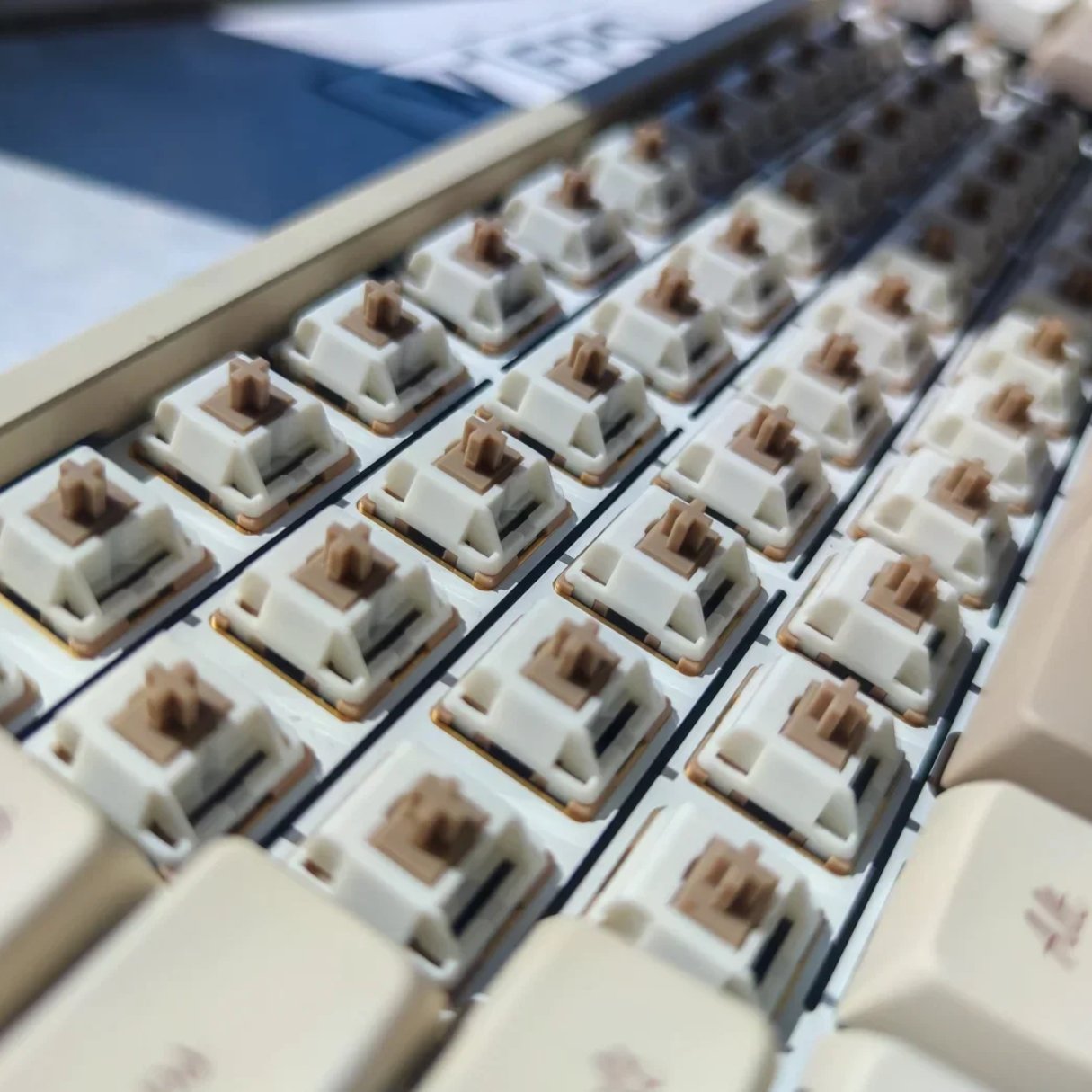 HMX Macchiato Linear Switches Secondary image