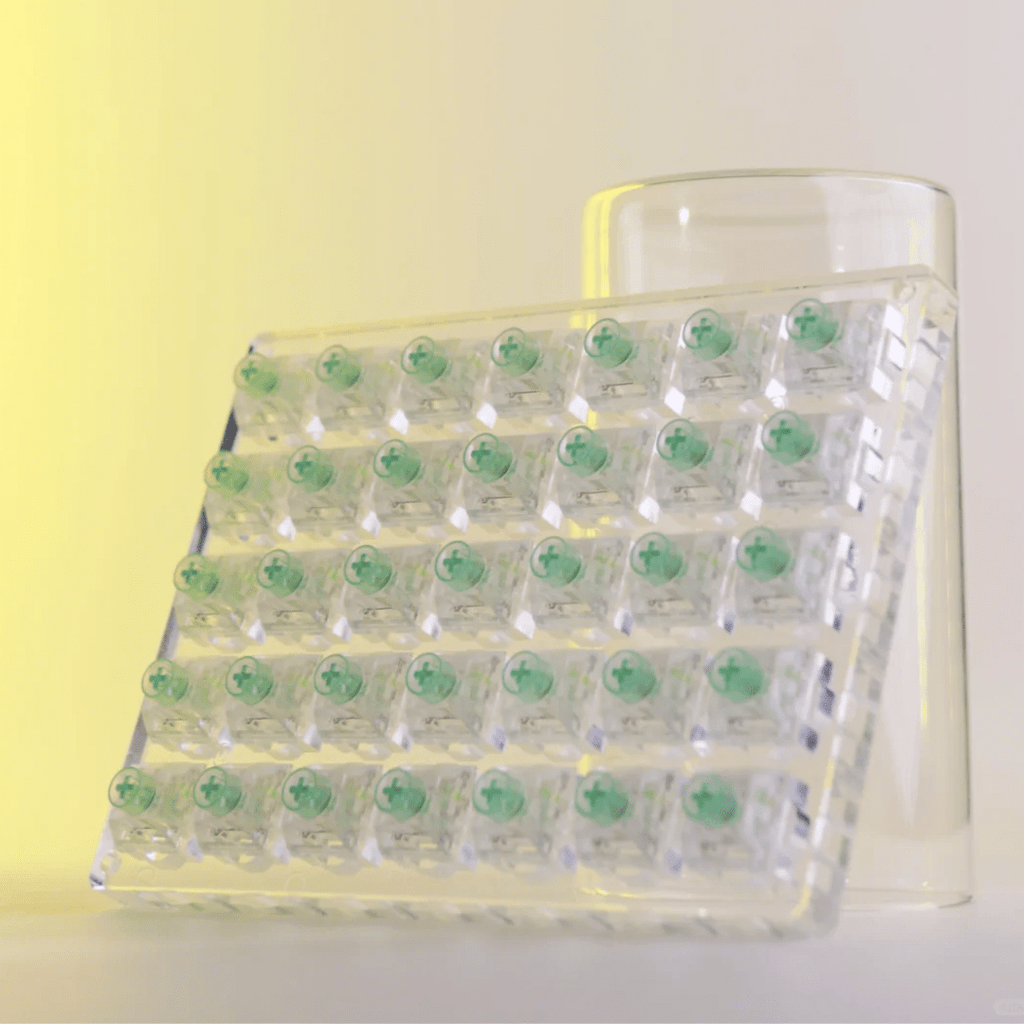 Kailh Box Jellyfish PRO Full Transparent RGB Bixia Clicky Switches - DIYKEY