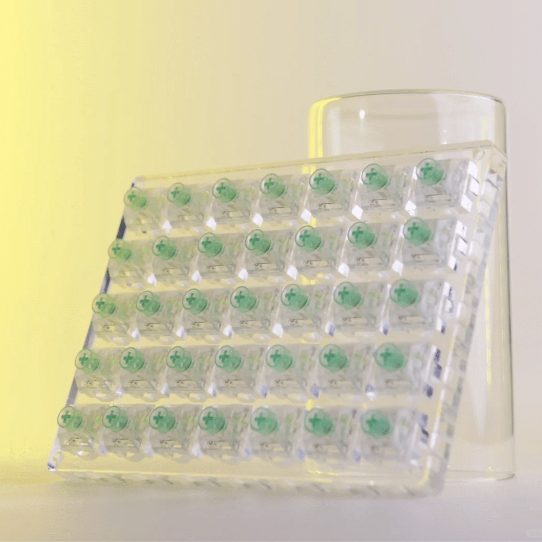 Kailh Box Jellyfish PRO Full Transparent RGB Bixia Clicky Switches - DIYKEY