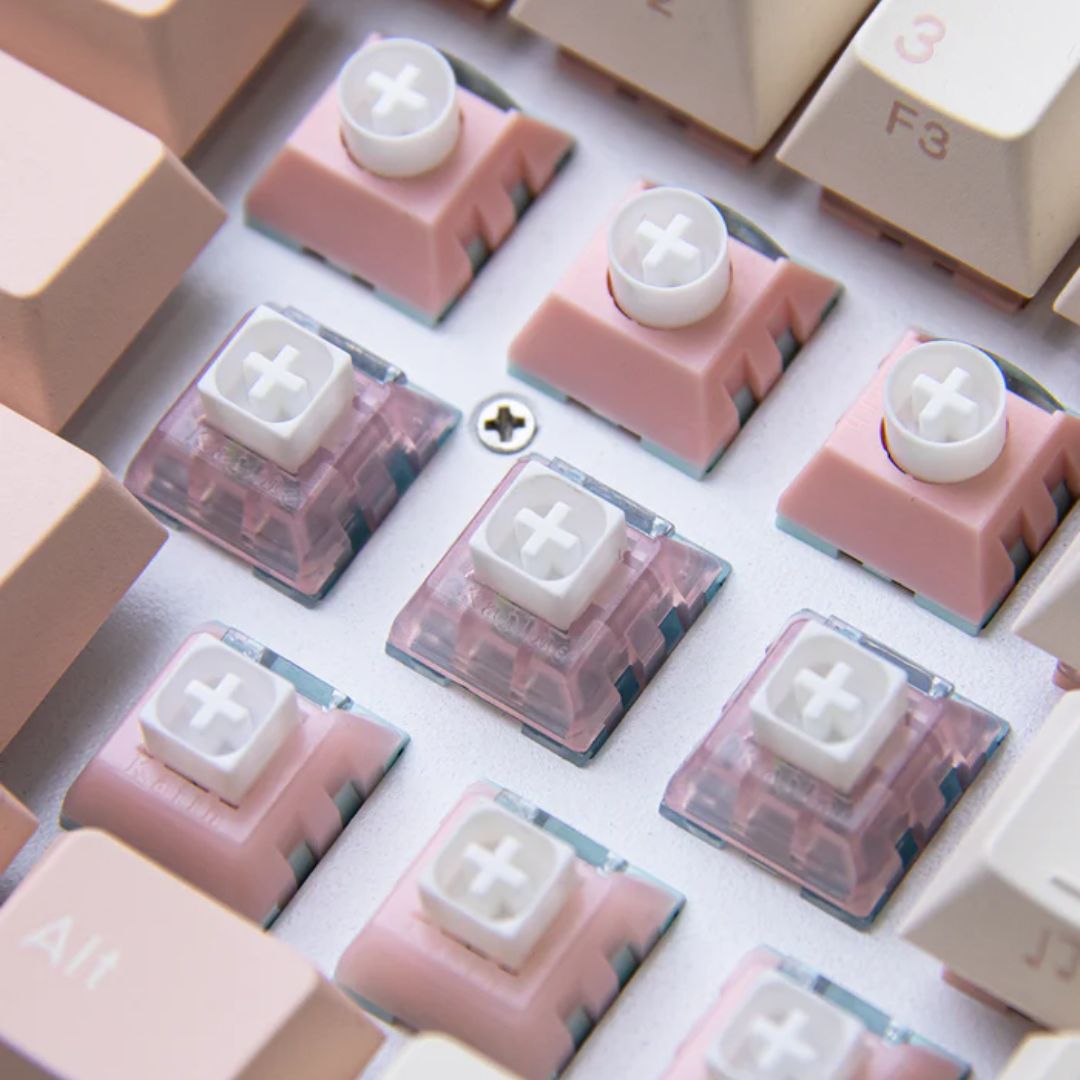 Main Switch Rgb Kailh Box Marshmallow Switch Cilcky RGB Switches – DIYKEY