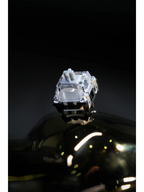 kailh Golden Snake switch